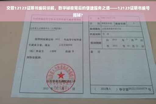 交管12123证明书编码详解，数字秘密背后的便捷服务之道——12123证明书编号揭秘?