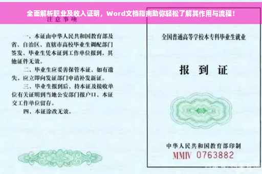 全面解析职业及收入证明，Word文档指南助你轻松了解其作用与流程！