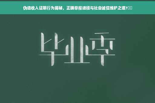 伪造收入证明行为揭秘，正确举报途径与社会诚信维护之道?⚡️