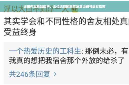 城市停车难题解析，车位选择困难症及其证明书编写指南