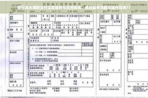 银行流水通联支付深度解析与应用指南，网络服务详解与操作指南??