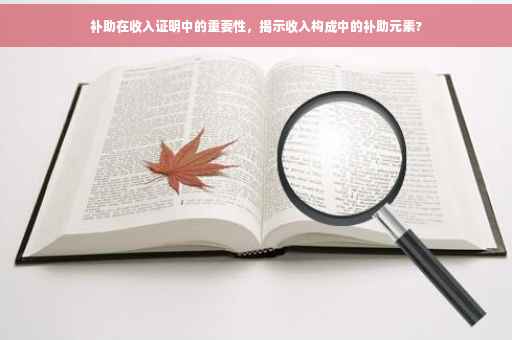 补助在收入证明中的重要性，揭示收入构成中的补助元素?
