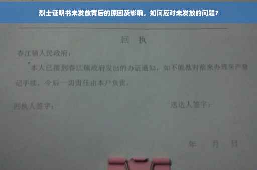 烈士证明书未发放背后的原因及影响，如何应对未发放的问题？