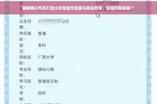 揭秘银行柜员打流水日常操作流程与幕后故事，起始日期揭秘??