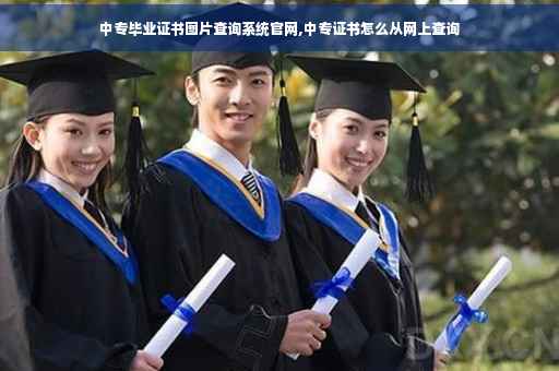 中专毕业证书图片查询系统官网,中专证书怎么从网上查询