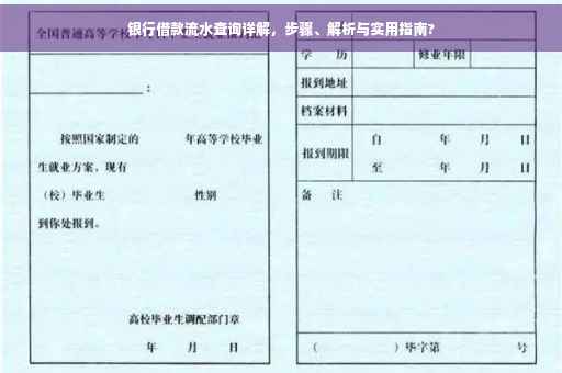 银行借款流水查询详解，步骤、解析与实用指南?