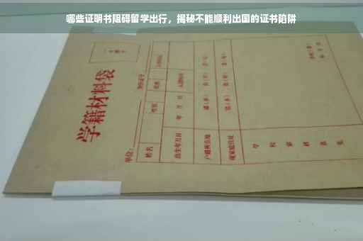 哪些证明书阻碍留学出行，揭秘不能顺利出国的证书陷阱
