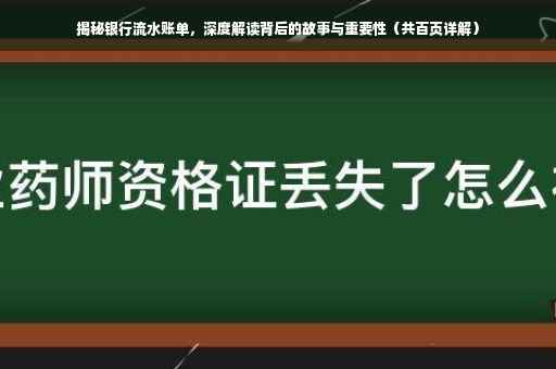 揭秘银行流水账单，深度解读背后的故事与重要性（共百页详解）