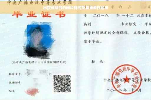 出院证明书的图片样式及其重要性解析