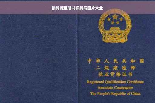 捐骨髓证明书详解与图片大全