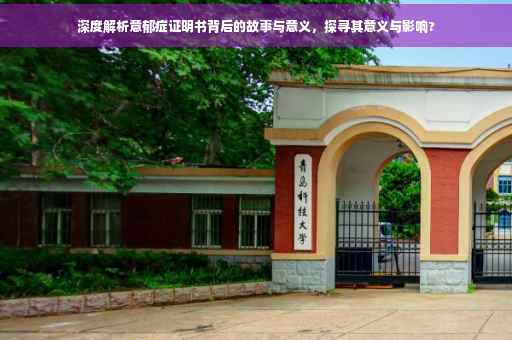 深度解析意郁症证明书背后的故事与意义，探寻其意义与影响?