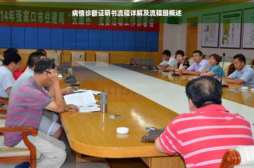病情诊断证明书流程详解及流程图概述