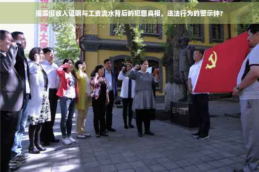 揭露假收入证明与工资流水背后的犯罪真相，违法行为的警示钟?