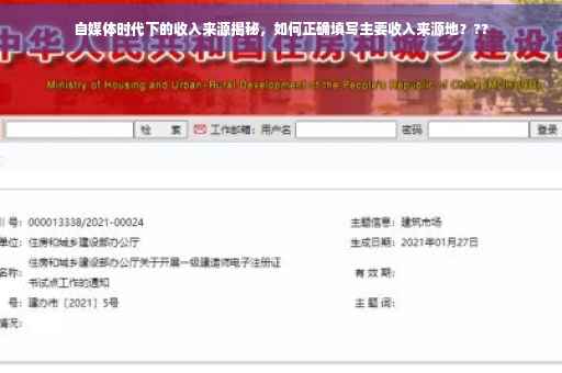 自媒体时代下的收入来源揭秘，如何正确填写主要收入来源地？??