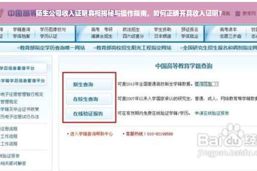 陌生公司收入证明真相揭秘与操作指南，如何正确开具收入证明？