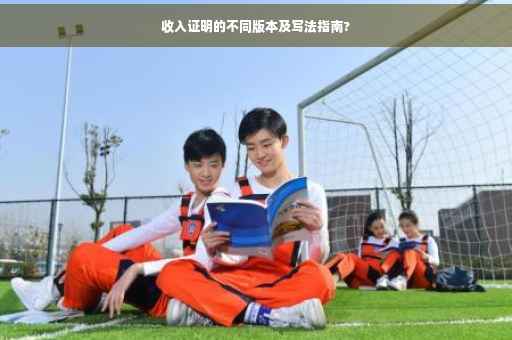 收入证明的不同版本及写法指南?