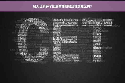 收入证明开了却没有如期收到钱款怎么办？
