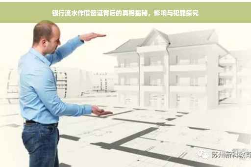 银行流水作假签证背后的真相揭秘，影响与犯罪探究
