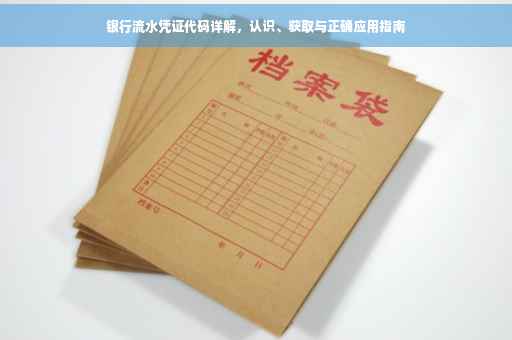 银行流水凭证代码详解，认识、获取与正确应用指南
