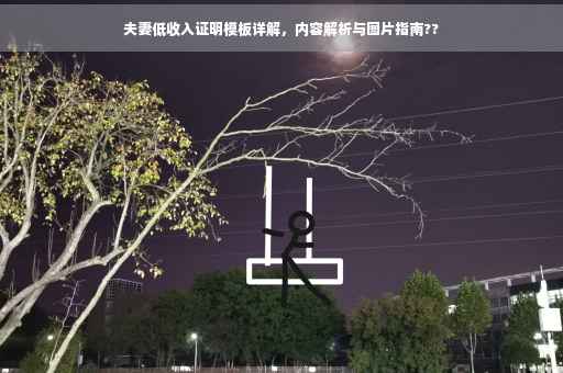 夫妻低收入证明模板详解，内容解析与图片指南??