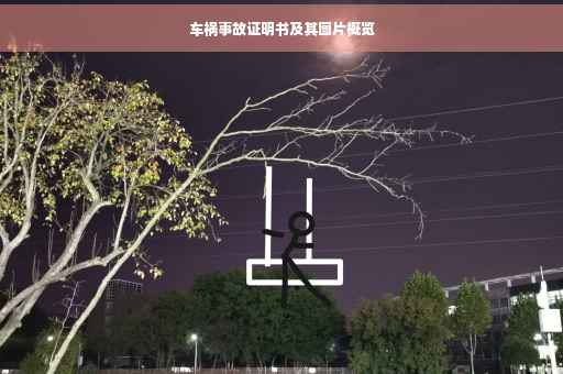 车祸事故证明书及其图片概览