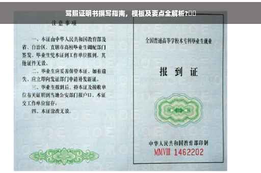 驾照证明书撰写指南，模板及要点全解析?⚡️
