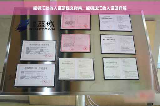 熊猫汇款收入证明提交指南，熊猫速汇收入证明详解