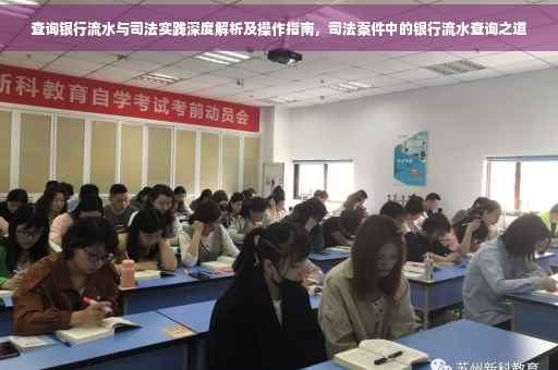 查询银行流水与司法实践深度解析及操作指南，司法案件中的银行流水查询之道