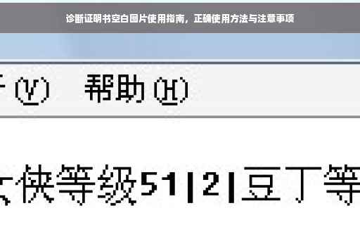 诊断证明书空白图片使用指南，正确使用方法与注意事项