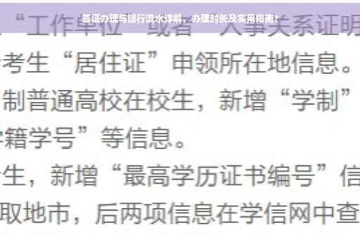 签证办理与银行流水详解，办理时长及实用指南?