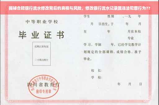 揭秘合肥银行流水修改背后的真相与风险，修改银行流水记录属违法犯罪行为??