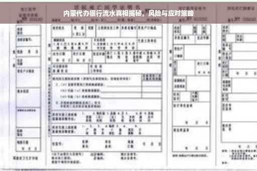 内蒙代办银行流水真相揭秘，风险与应对策略