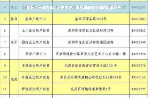 银行二十年流水，历史变迁、挑战与未来展望的洞察分析