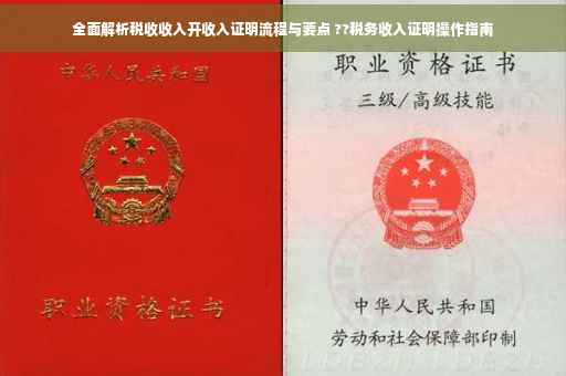 全面解析税收收入开收入证明流程与要点 ??税务收入证明操作指南