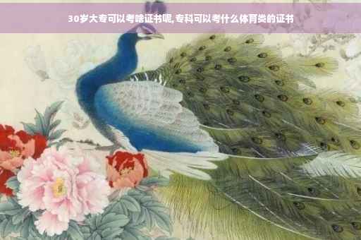 30岁大专可以考啥证书呢,专科可以考什么体育类的证书