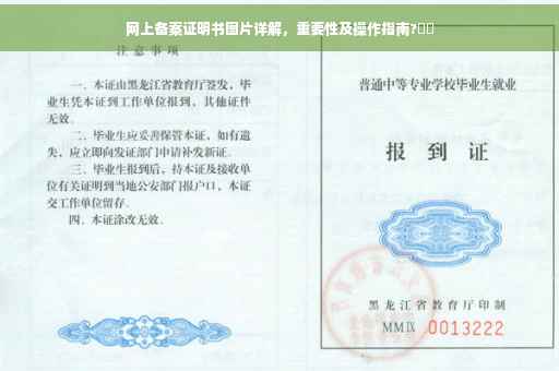 网上备案证明书图片详解，重要性及操作指南?⚡️