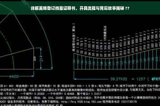 详解离婚登记档案证明书，开具流程与背后故事揭秘 ??