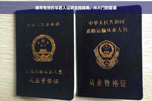 撰写有效的年收入证明文件指南，从入门到精通