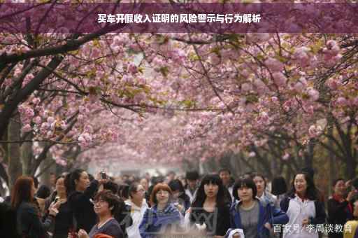 买车开假收入证明的风险警示与行为解析