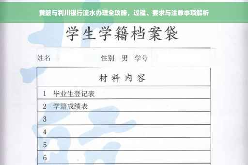 黄陂与利川银行流水办理全攻略，过程、要求与注意事项解析
