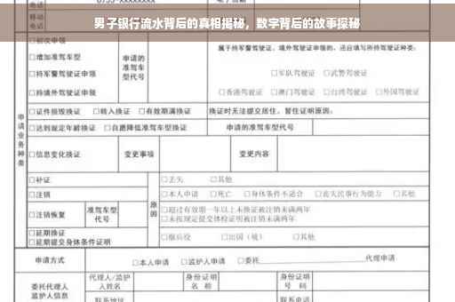 男子银行流水背后的真相揭秘，数字背后的故事探秘
