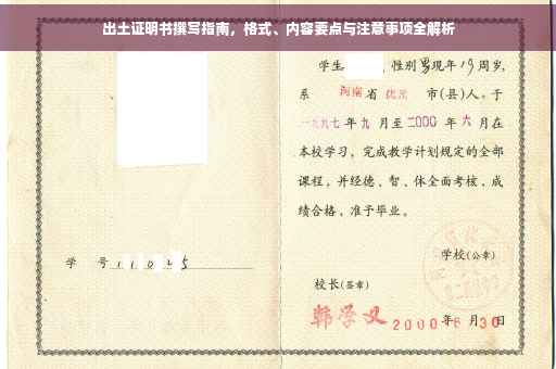 出土证明书撰写指南，格式、内容要点与注意事项全解析