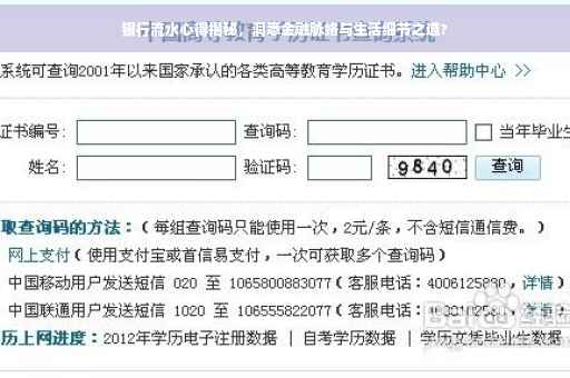 银行流水心得揭秘，洞悉金融脉络与生活细节之道?