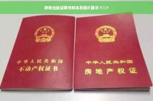 财务出纳证明书样本及图片展示 ?⚡️?