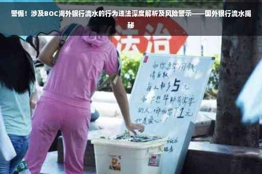 警惕！涉及BOC海外银行流水的行为违法深度解析及风险警示——国外银行流水揭秘