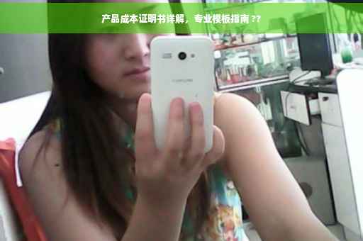 产品成本证明书详解，专业模板指南 ??