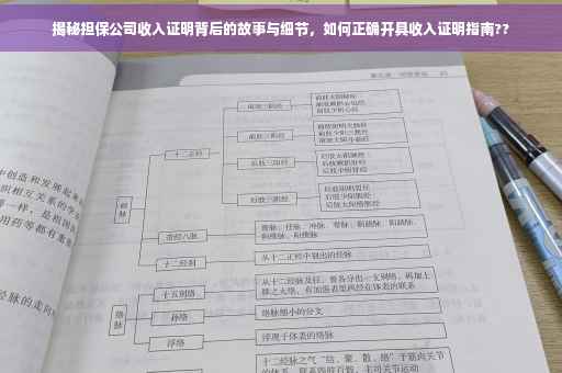 揭秘担保公司收入证明背后的故事与细节，如何正确开具收入证明指南??