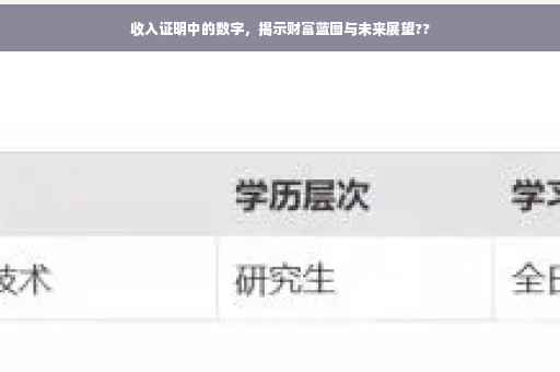 收入证明中的数字，揭示财富蓝图与未来展望??