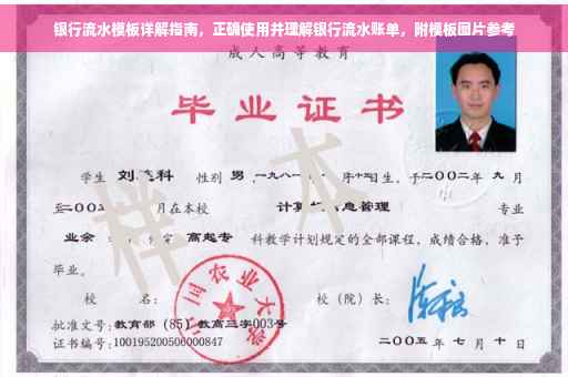 银行流水模板详解指南，正确使用并理解银行流水账单，附模板图片参考