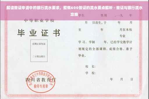 解读签证申请中的银行流水要求，聚焦600签证的流水要点解析 - 签证与银行流水攻略